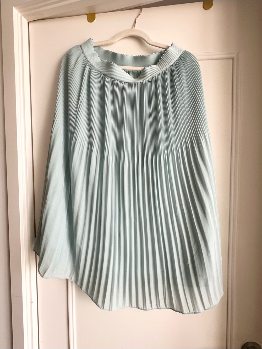 Naked Zebra Pleated Skirt - Mint Green - Size M
